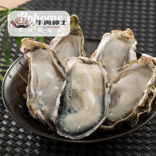日本兵庫生食生蠔(1Kg約9-11顆)