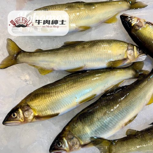 台灣宜蘭母香魚(10隻裝)