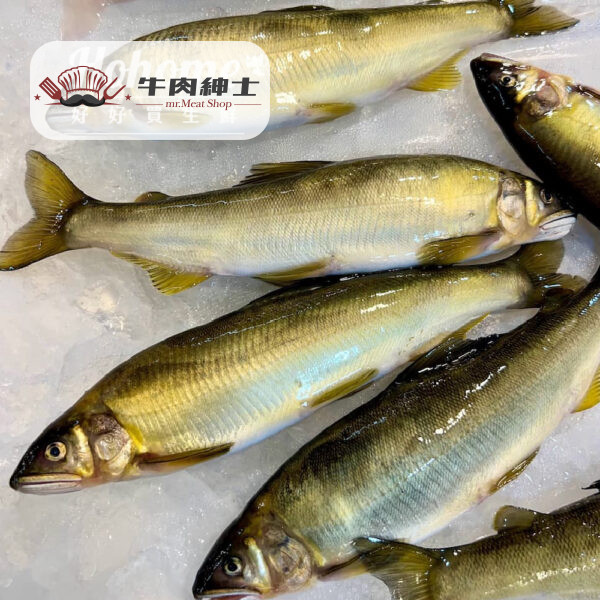台灣宜蘭母香魚(10隻裝)